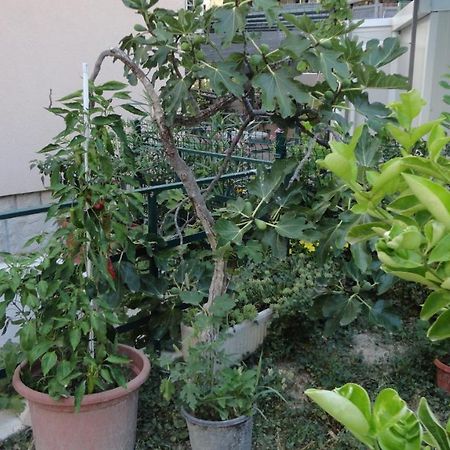 Apartman Paro Split Buitenkant foto