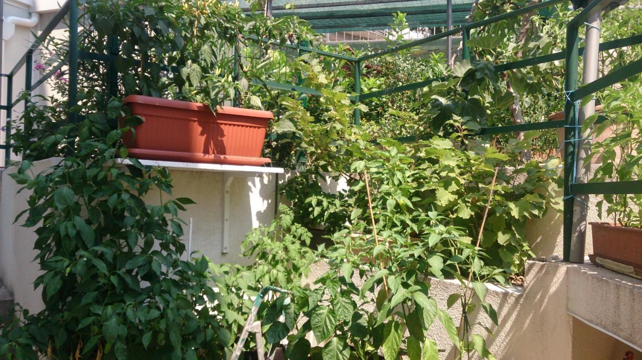 Apartman Paro Split Buitenkant foto